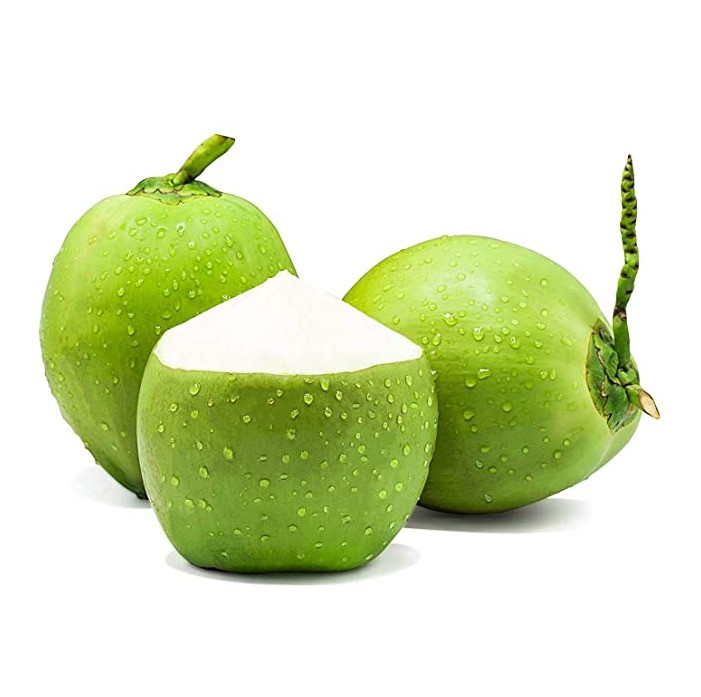 Service-1-min (1) coconut in vietnam tuy phong imex 6